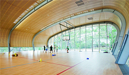 楓木運(yùn)動(dòng)地板與柞木運(yùn)動(dòng)地板的比較